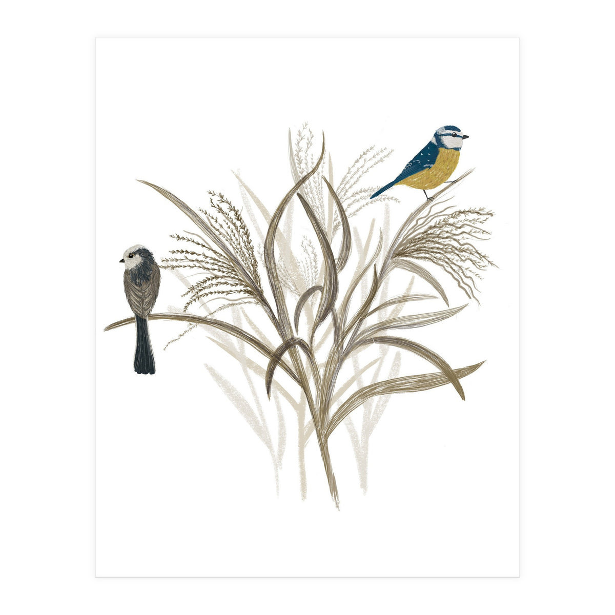 Garden Birds (Print Only)
