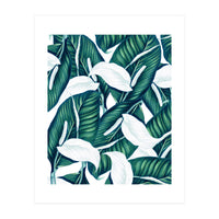 Tropical Winter (Print Only)