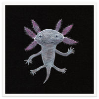 Axolotl