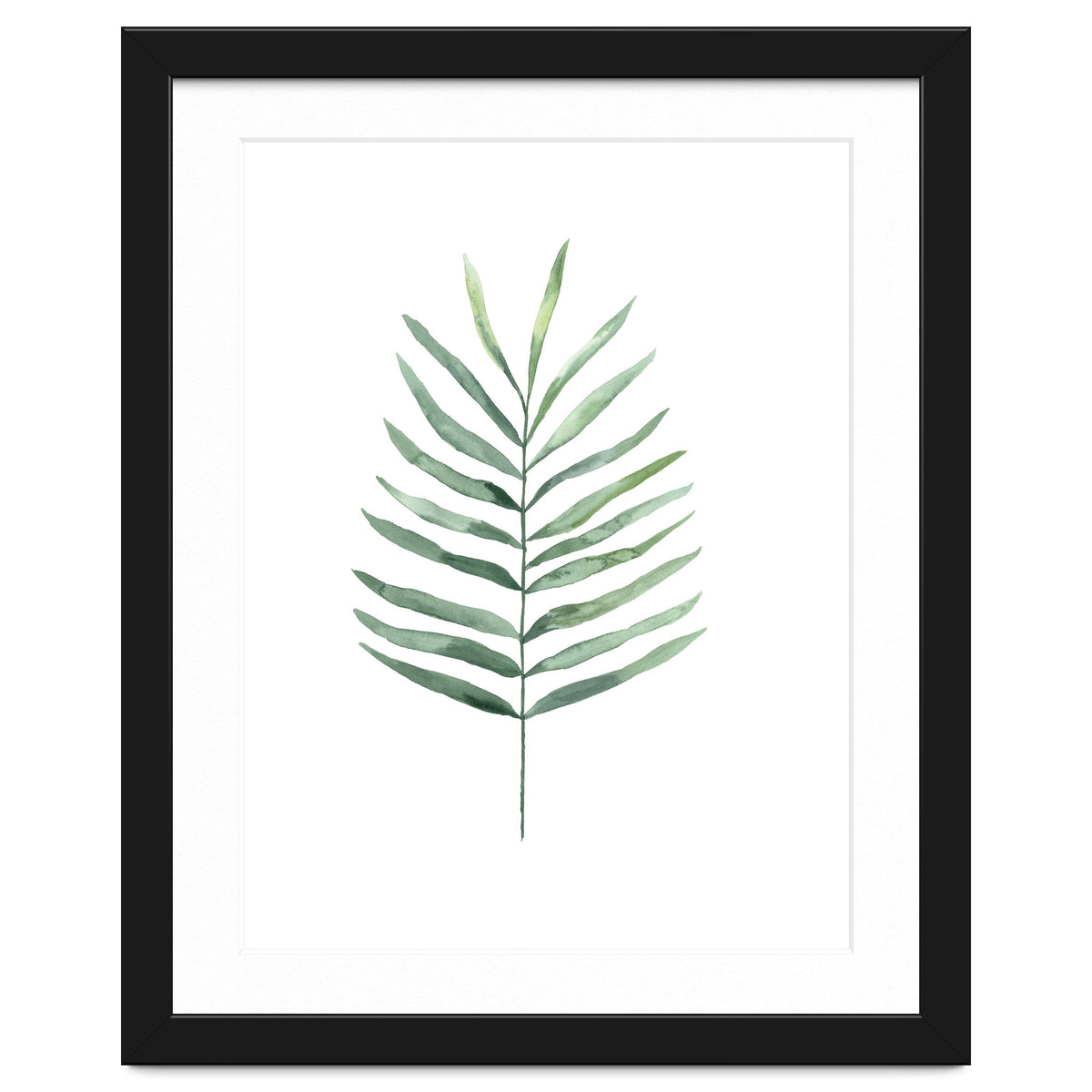 Botanical Illustration Fern