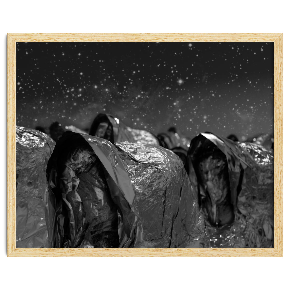 Fellini's Plastic Sea