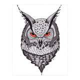 Owl (Print Only) thumbnail