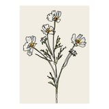 Bunch I (Print Only) thumbnail