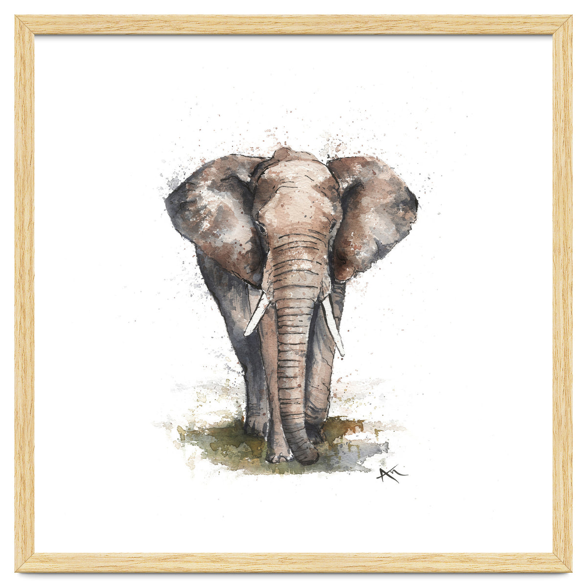 Elephant - Wildlife Collection