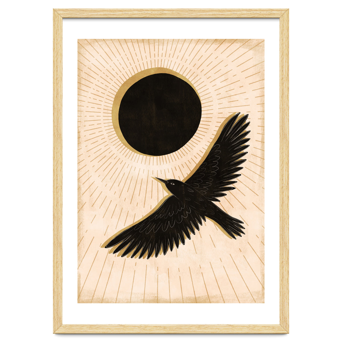 Raven And A Black Sun