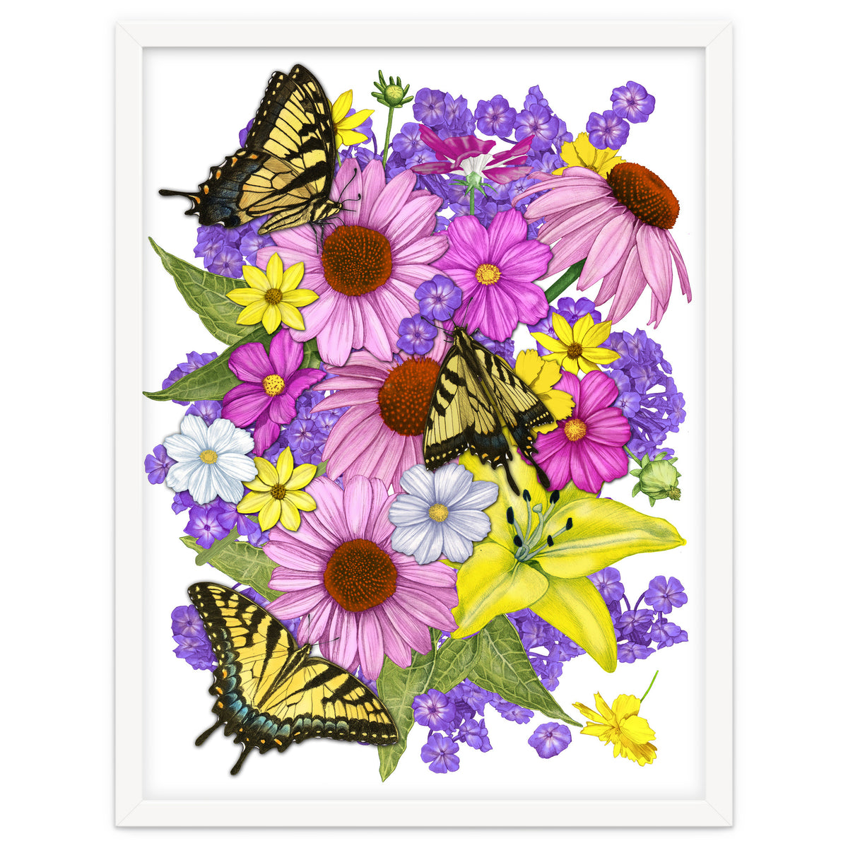 Corn Flowers and Swallowtails