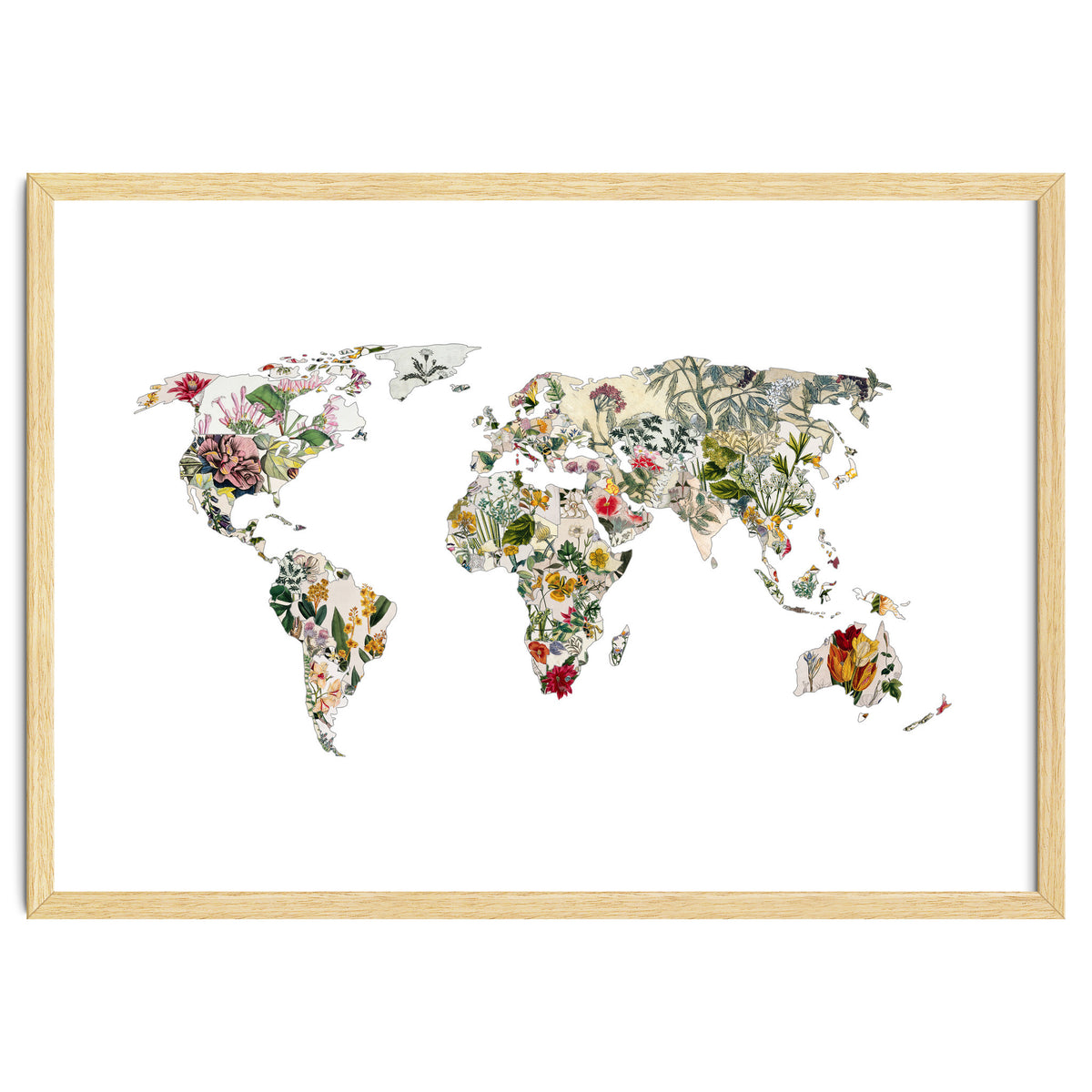 Vintage Botanical Map