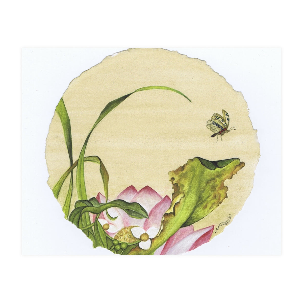 Circle 11 (Print Only)