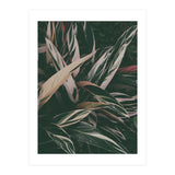 MARANTA LEAVES (Print Only) thumbnail