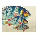 Fish Classic Designs 3 (Print Only) thumbnail