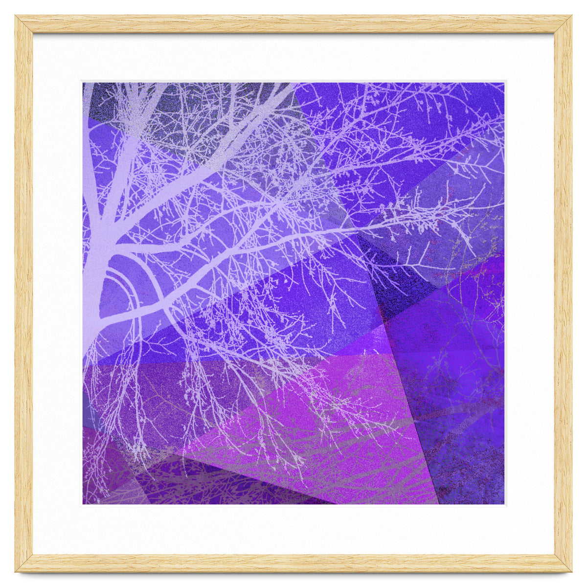 P19-D2 Trees and Triangles