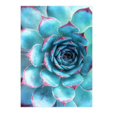 68a (Print Only) thumbnail