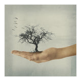 Its All In Your Mind (Print Only) thumbnail