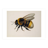 Bumblebee Vintage Illustration (Print Only) thumbnail