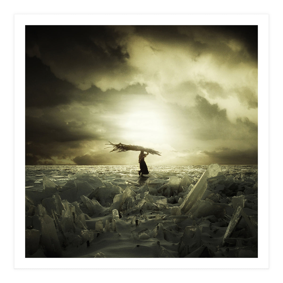 Frozen Nation (Print Only)