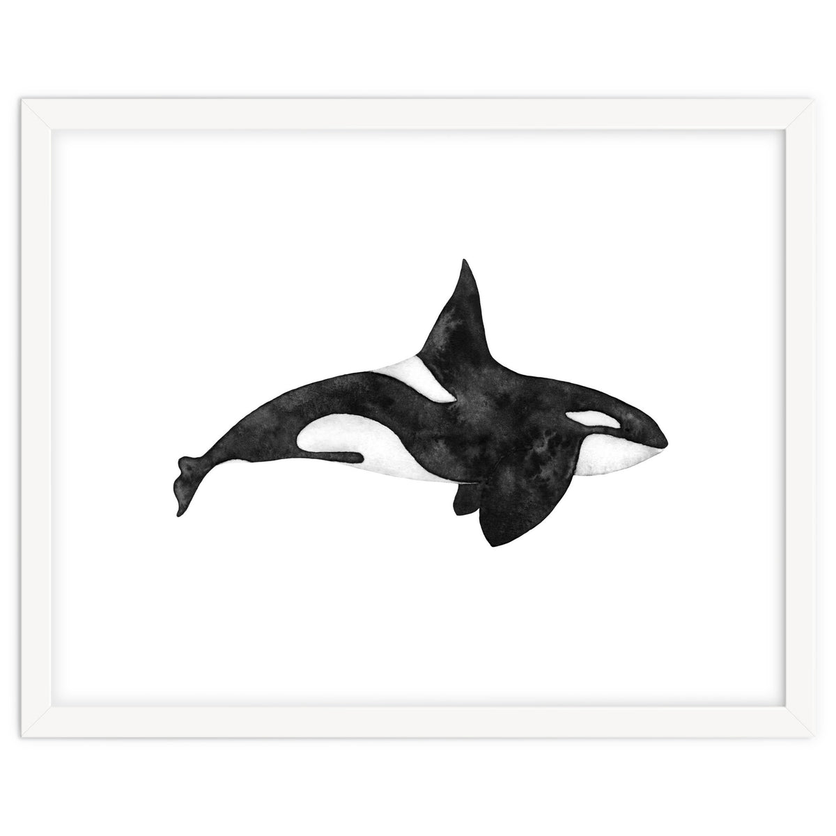 Orca