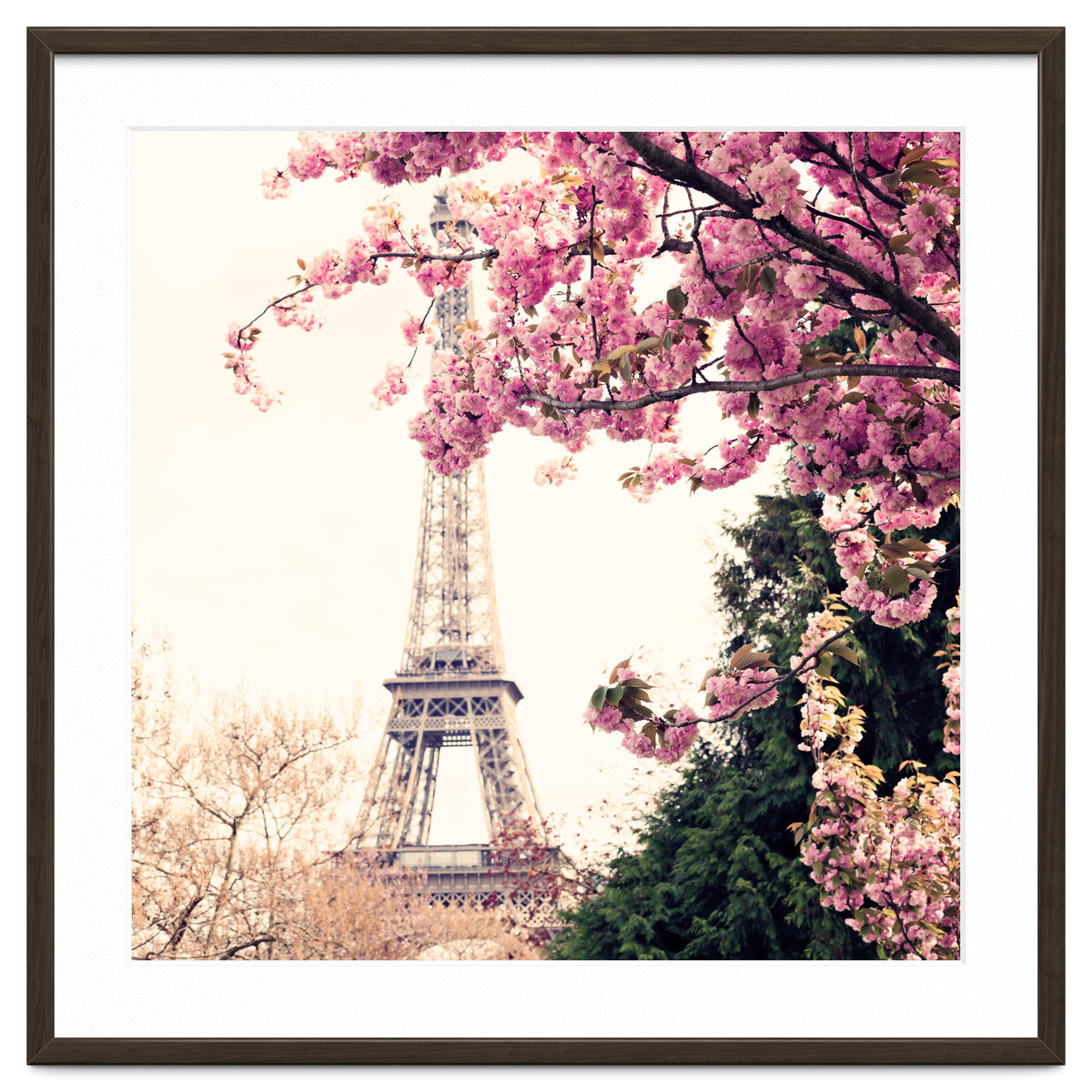 Paris in the Spring