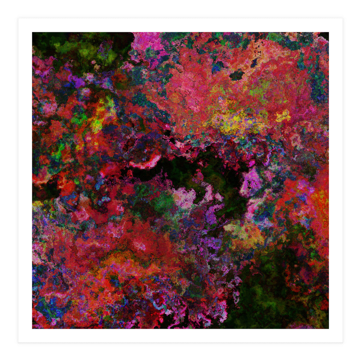 Blooms  (Print Only)