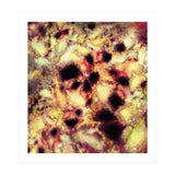Natural Mechanism (Print Only) thumbnail