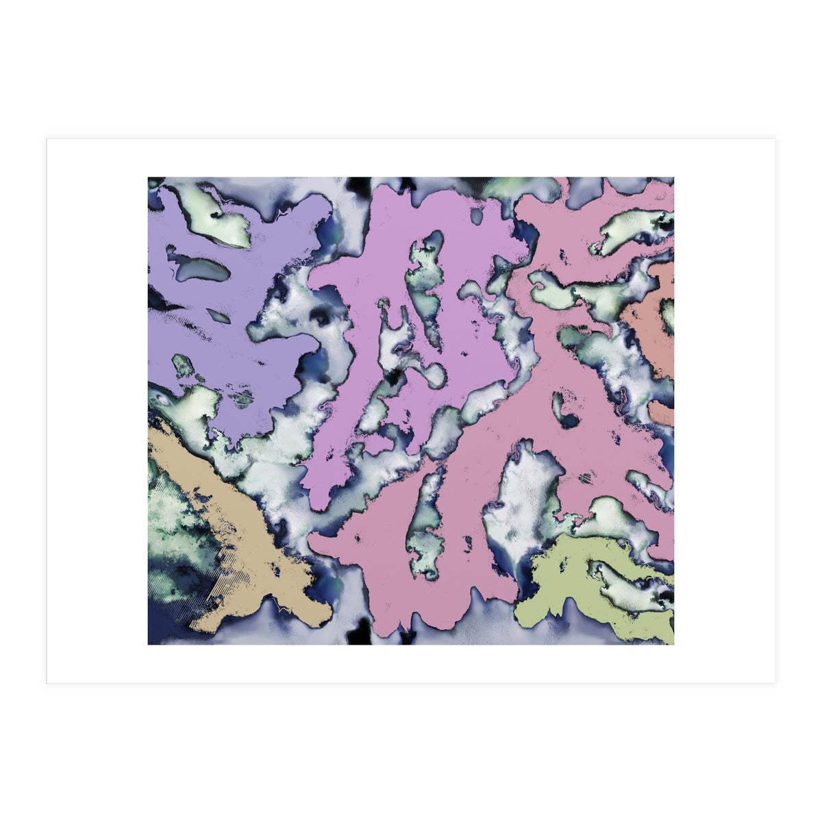 A Soft Choice (Print Only)