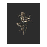 Golden Botanicals -  Square (Print Only) thumbnail