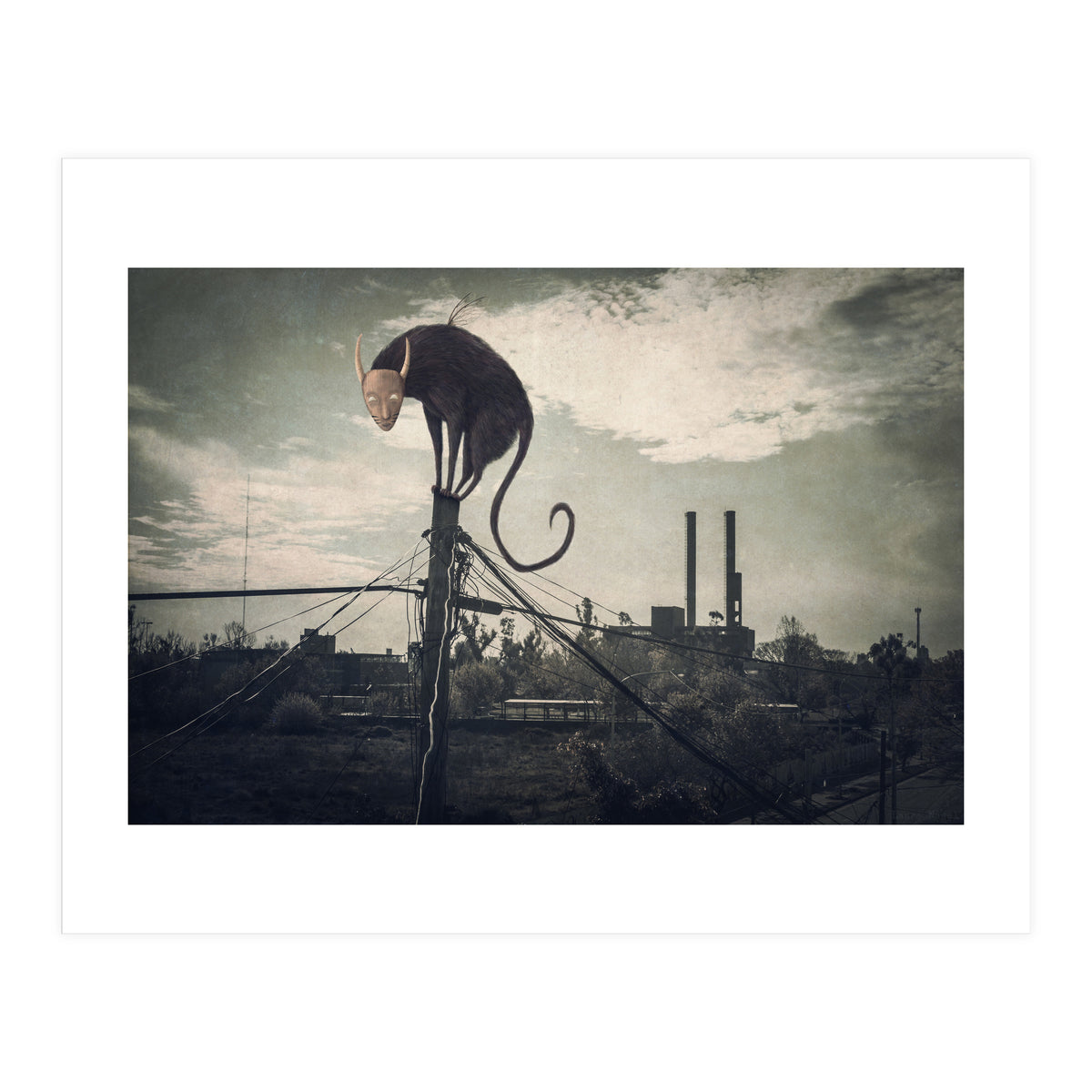 Bicho volador (Print Only)