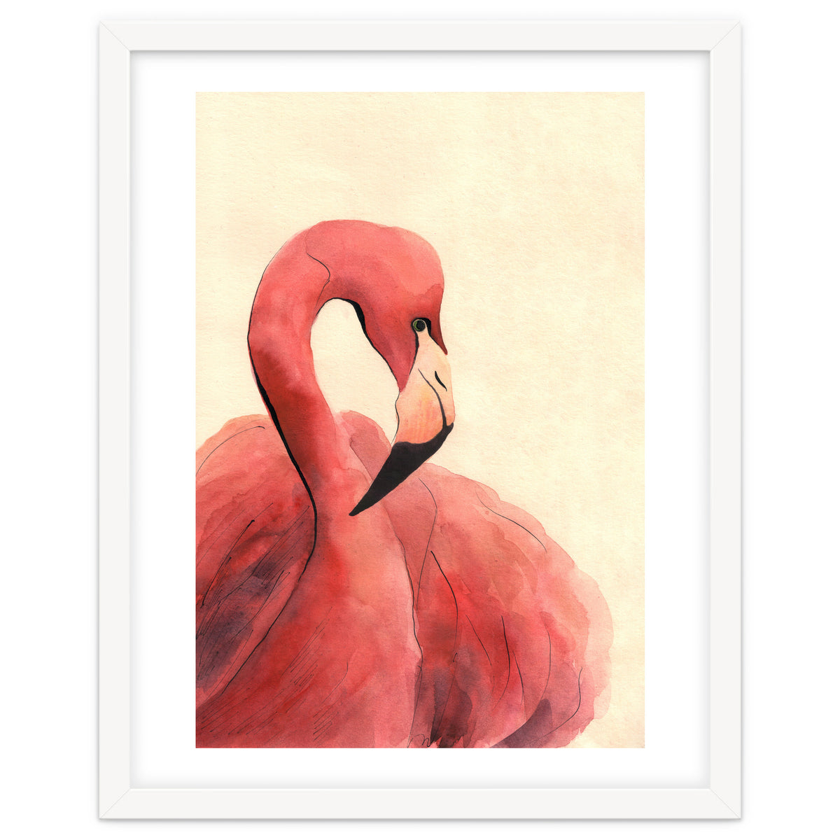 Flamingo
