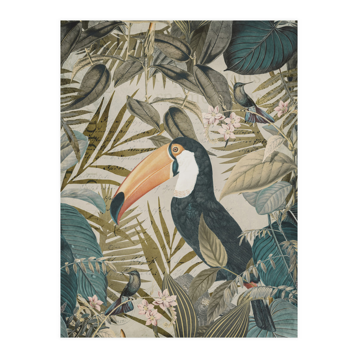Jungle Toucan (Print Only)