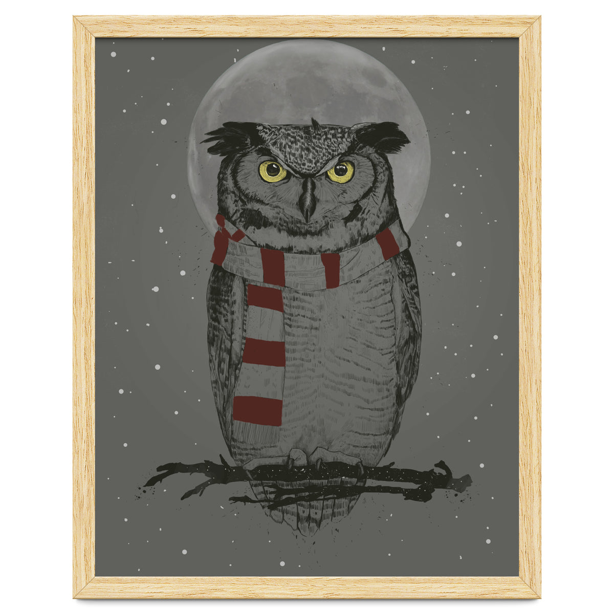 Winter Owl