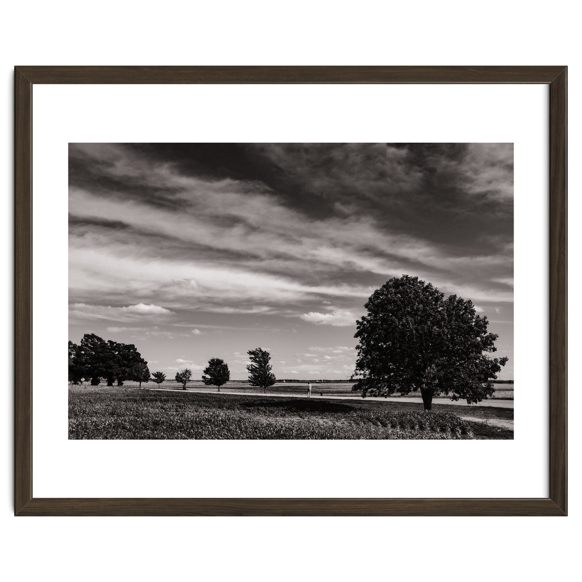 Country Road, Illinois