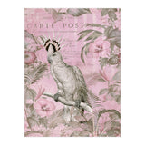 Jungle Cockatoo Pink (Print Only) thumbnail