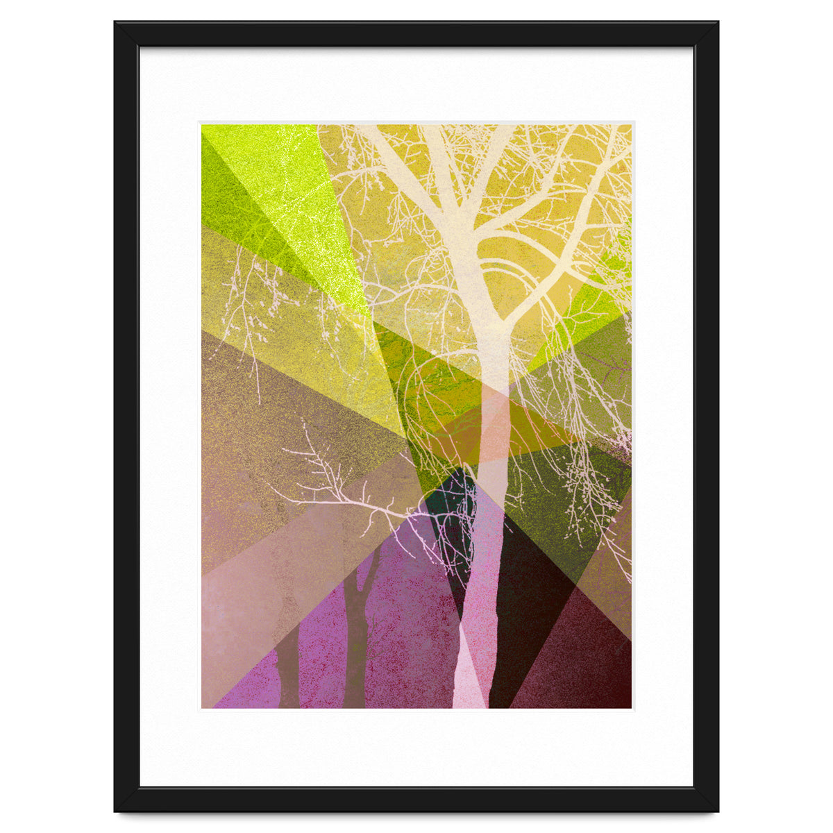 P22 A Trees And Triangles