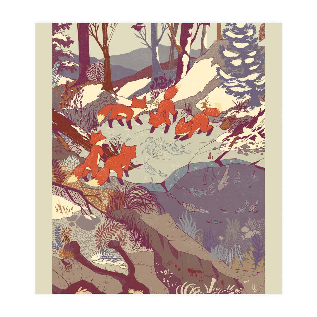 Fisher Fox (Print Only)