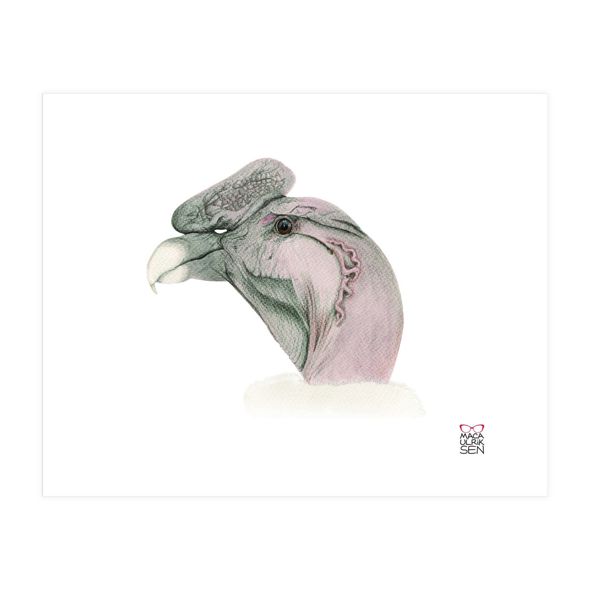 Andean condor (Print Only)