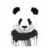 Graffiti Panda (Print Only) thumbnail
