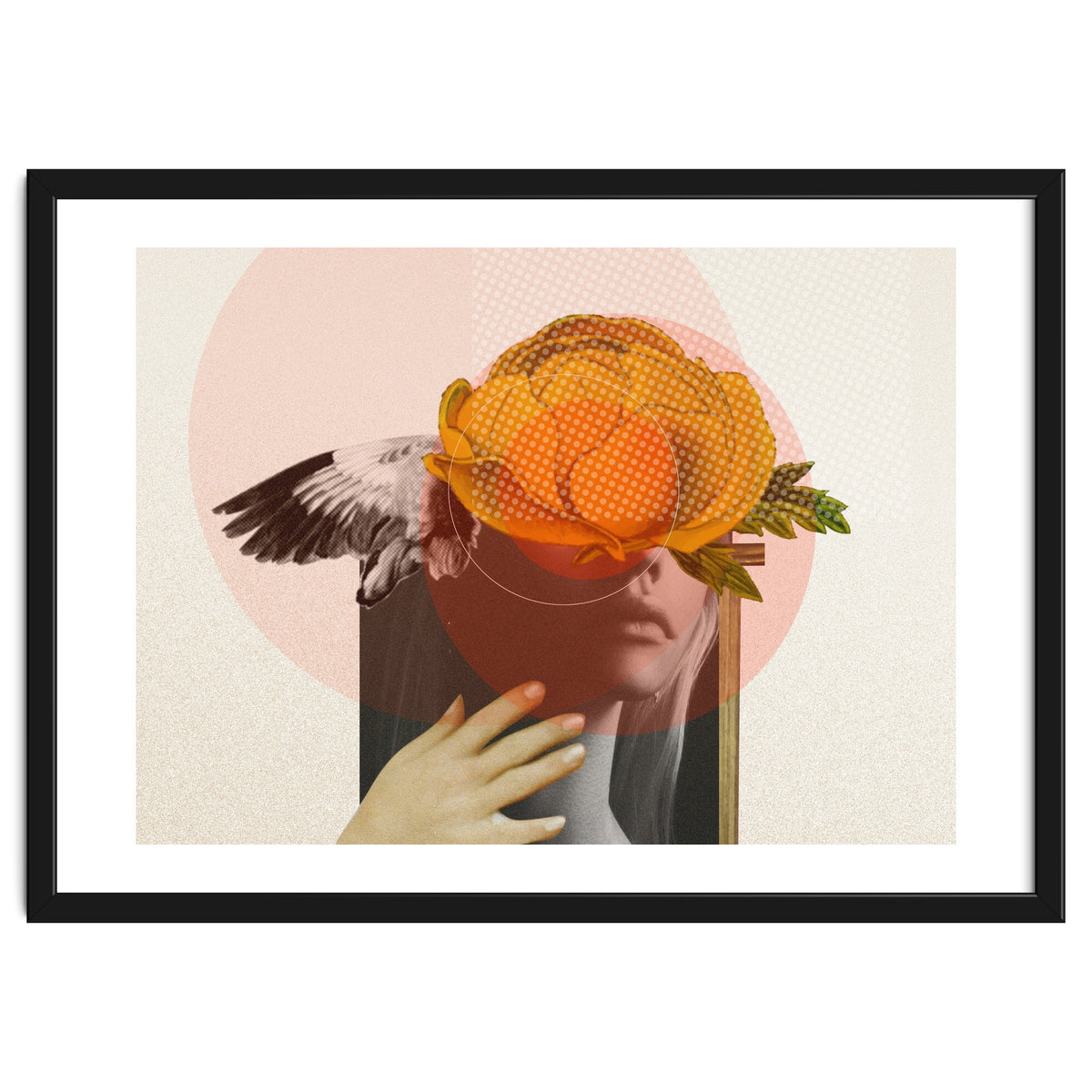 Dreamland Division · C