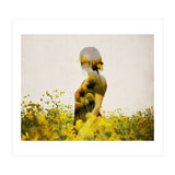 Yellow Meadow (Print Only) thumbnail