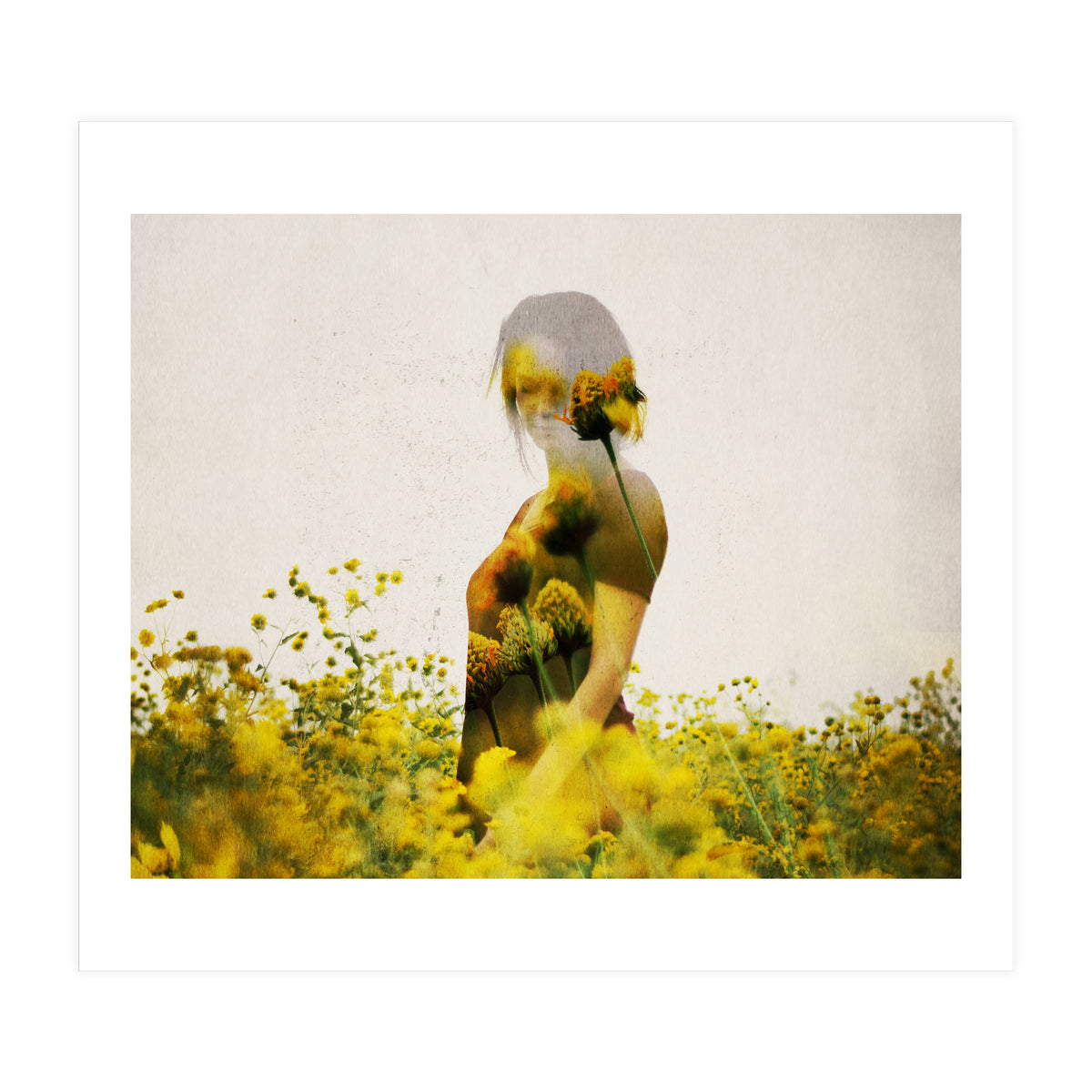 Yellow Meadow (Print Only)