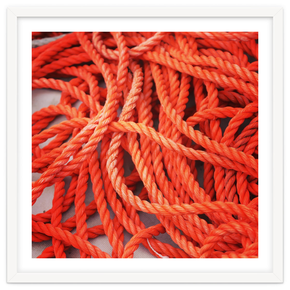 Orange ropes