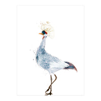 Watercolor Grey Crowned Crane (Print Only)