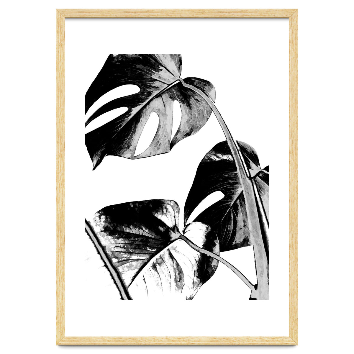 Black Tropical Leaves