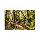 Ewoldsen Trail Bridge  (Print Only) thumbnail