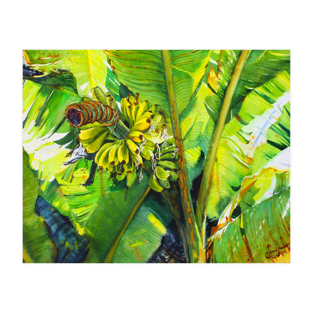 Tropical Fruit (Print Only)