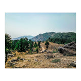 Let's Take A Walk (Print Only) thumbnail
