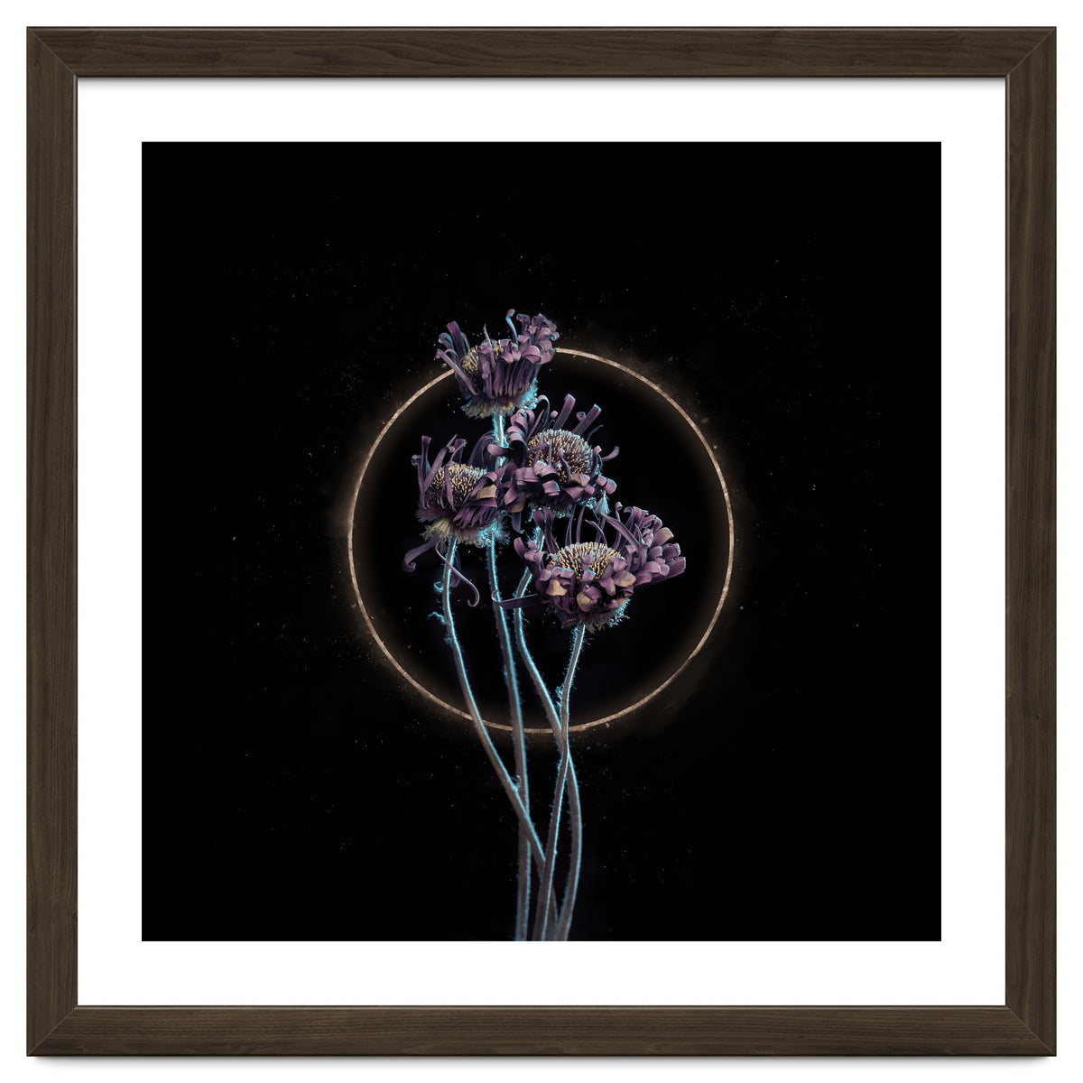 Candy-Coloured Mystery