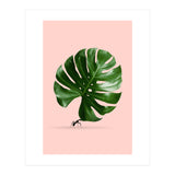 Monstera Ant (Print Only) thumbnail