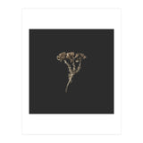 Gold Burst Botanicals - Square (Print Only) thumbnail