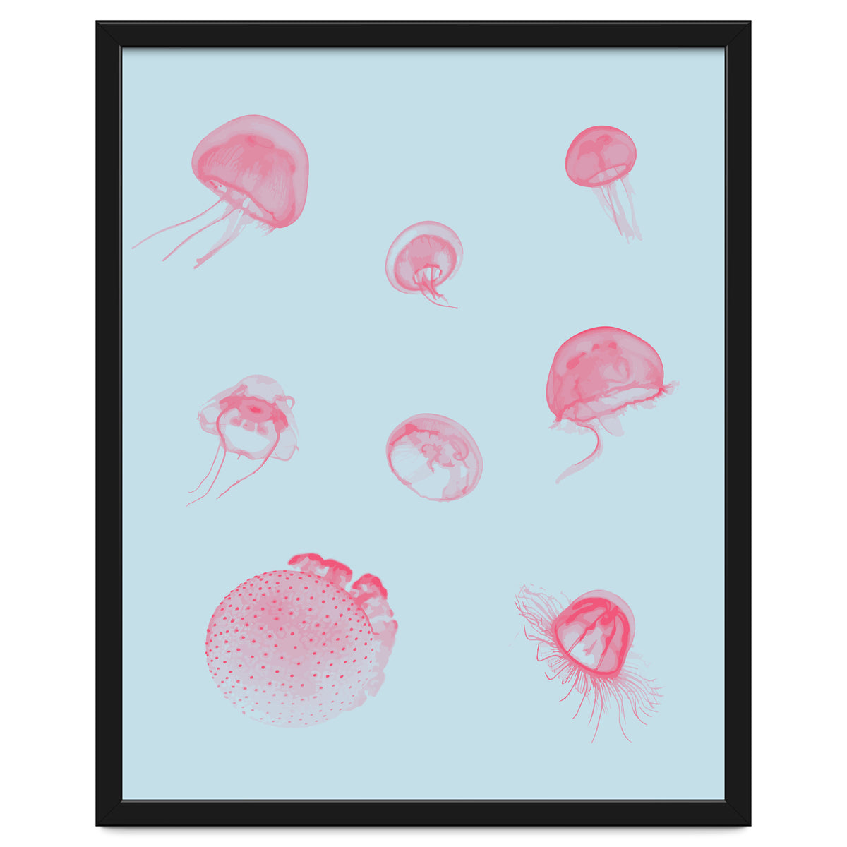 Jellyfish