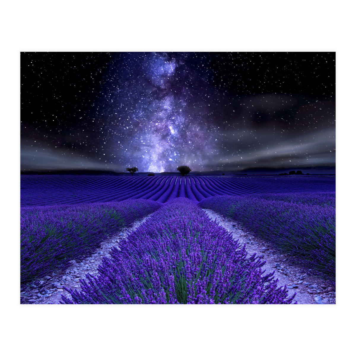 Under The Stars (Print Only)