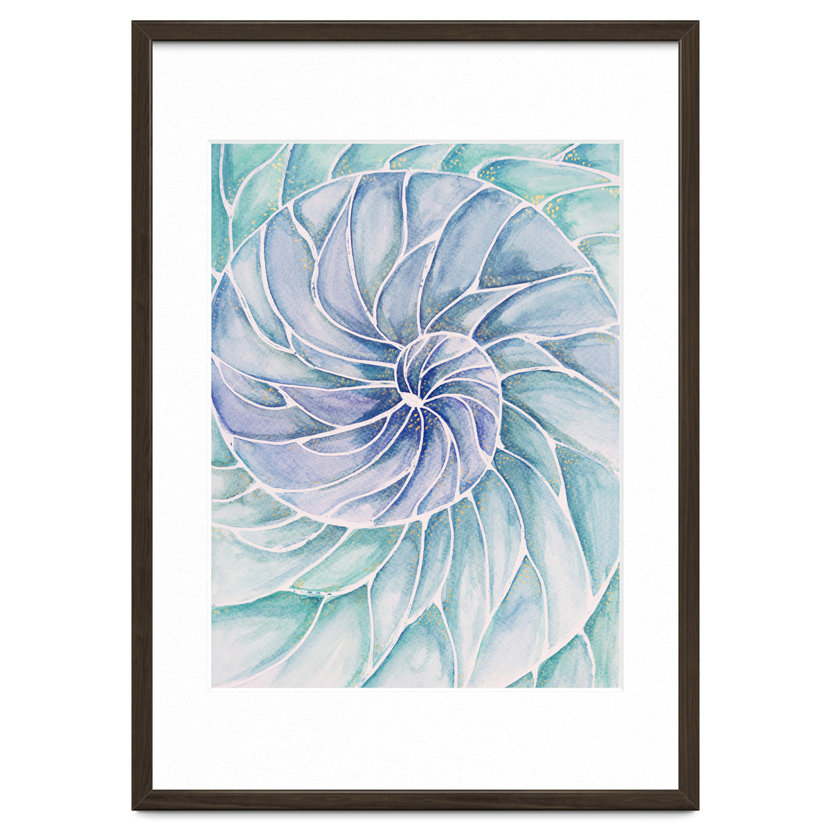 The inside of a shell